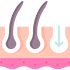 DHI (Direct Hair Implantiation)